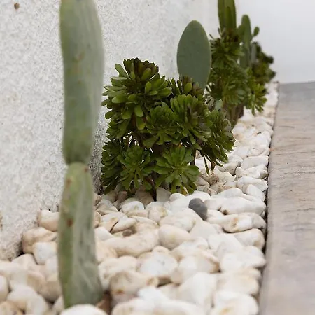 The Nine Graces -Kora, 80M From Beach, Terrace And Jacuzzi Appartement