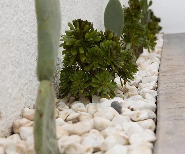 The Nine Graces -kora, 80m From Beach, Terrace And Jacuzzi Daire